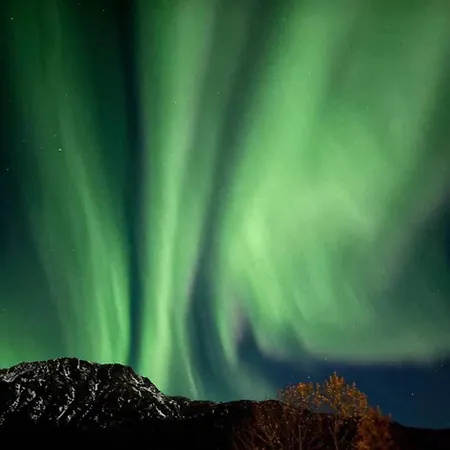 Cozy&central Dorm Apartamento Tromsø