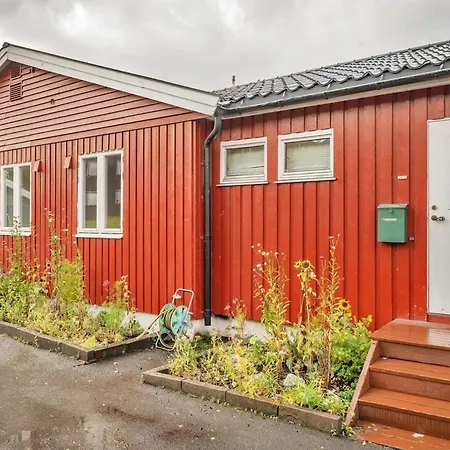 Cozy And Dorm *